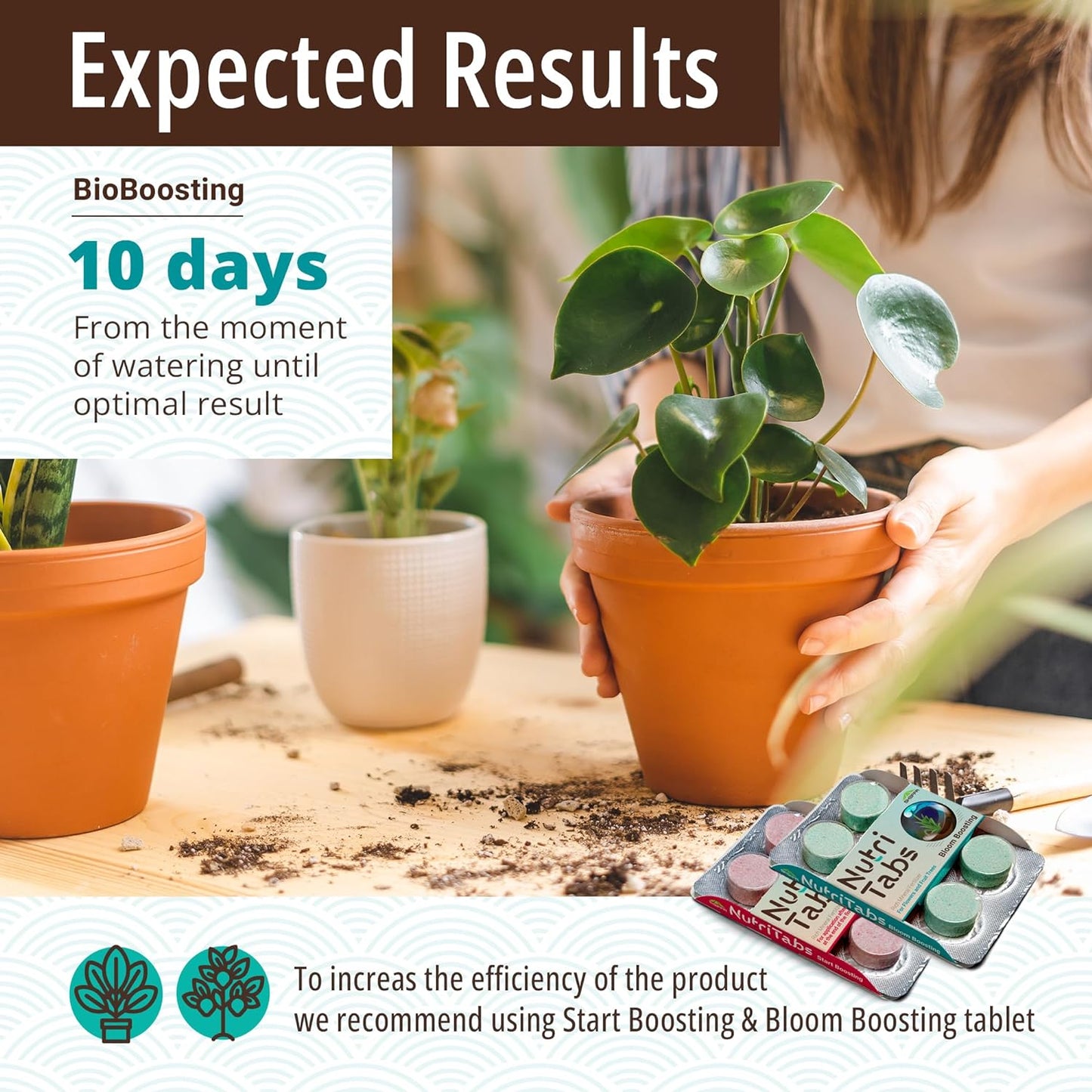 "BioBoost" Plant Food for Soil Enrichment