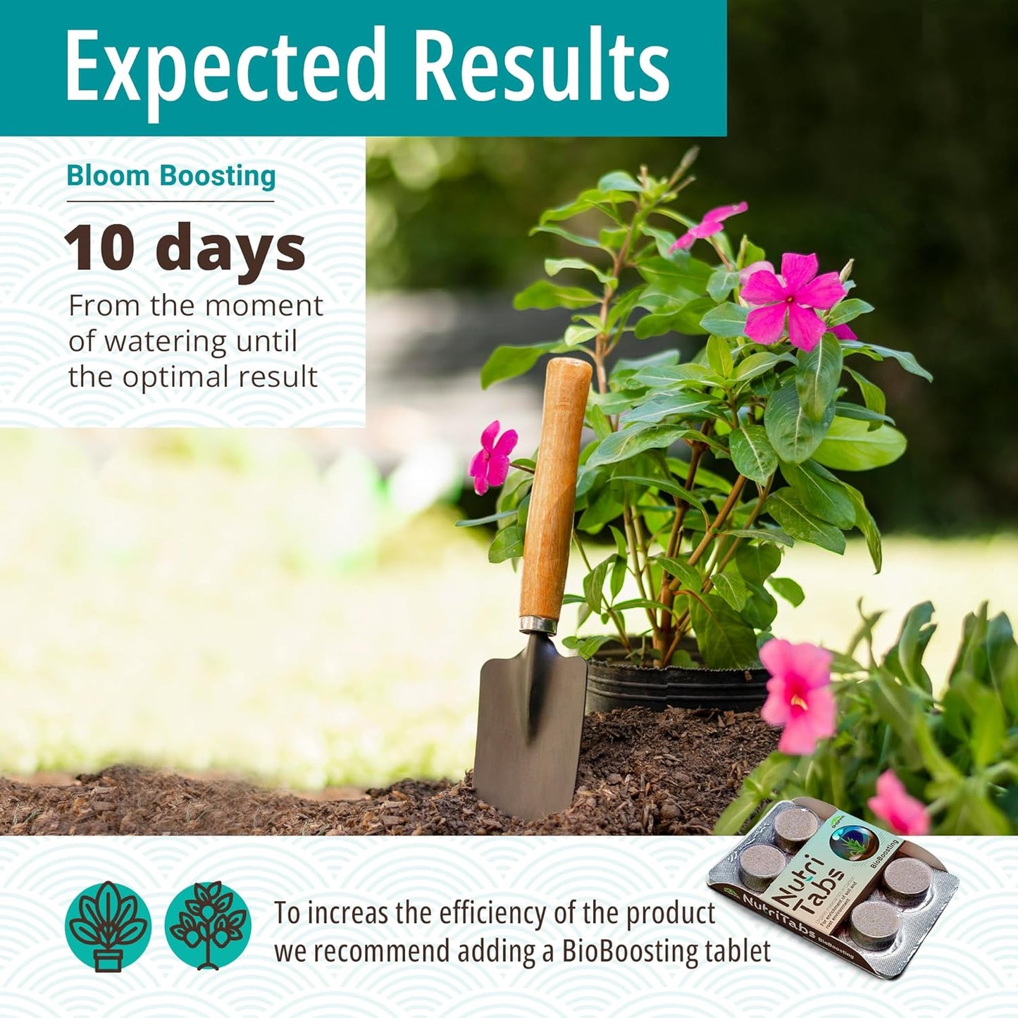 "Bloom Boosting" Mineral Tablets