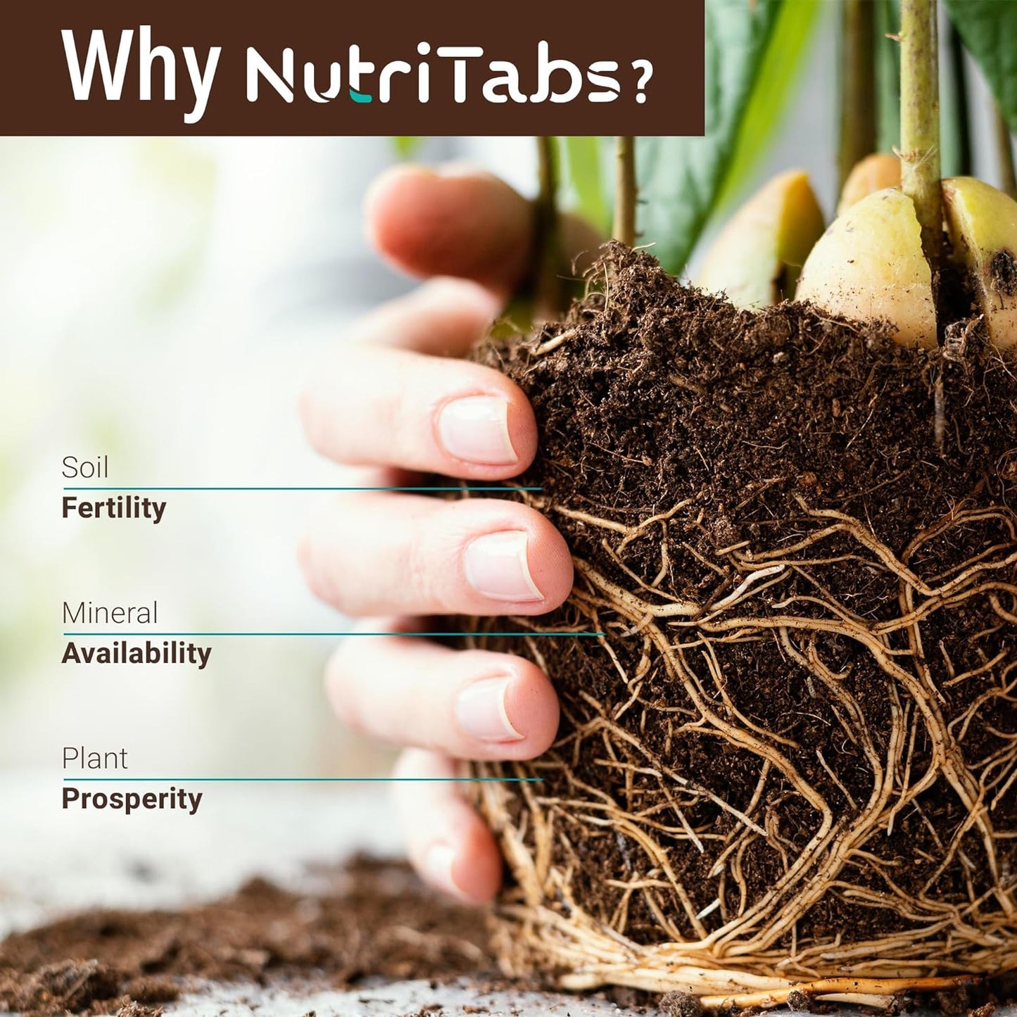"BioBoost" Plant Food for Soil Enrichment