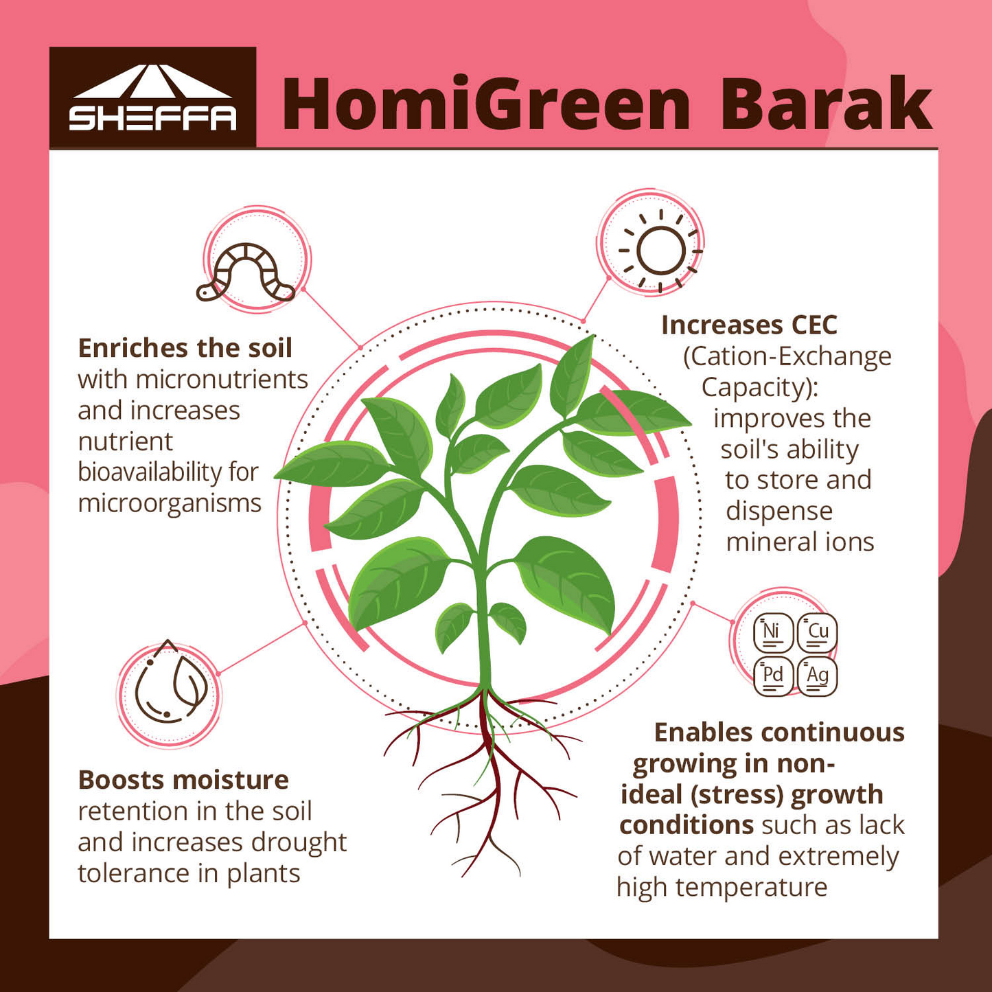 Nutritional Supplement for Accelerated Root Activity