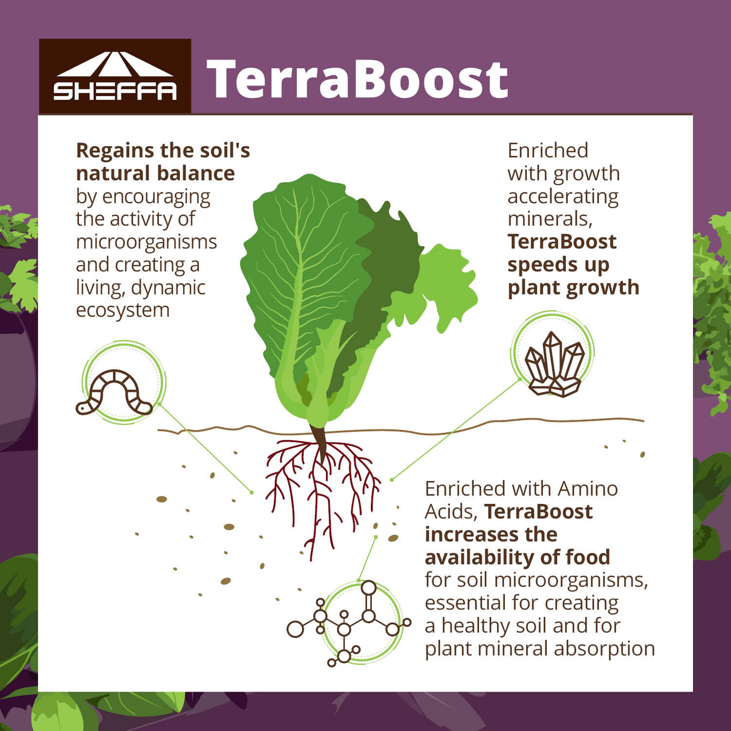 liquid fertilizer for vegetables