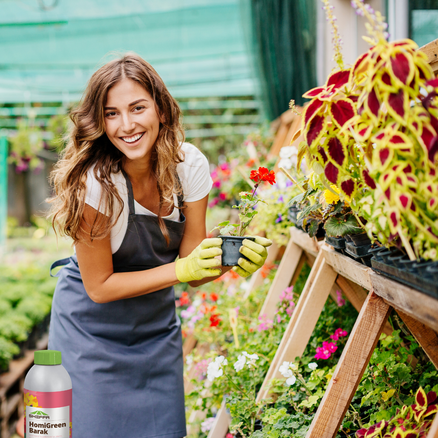 Nutritional Supplement for Accelerated Root Activity