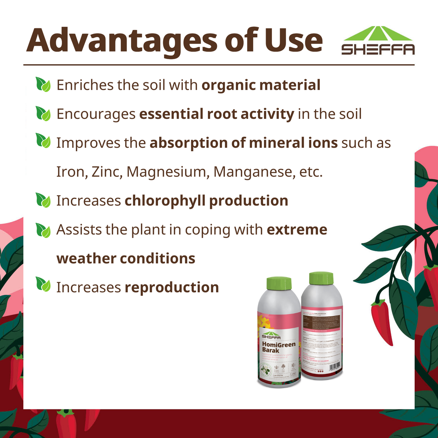 Nutritional Supplement for Accelerated Root Activity