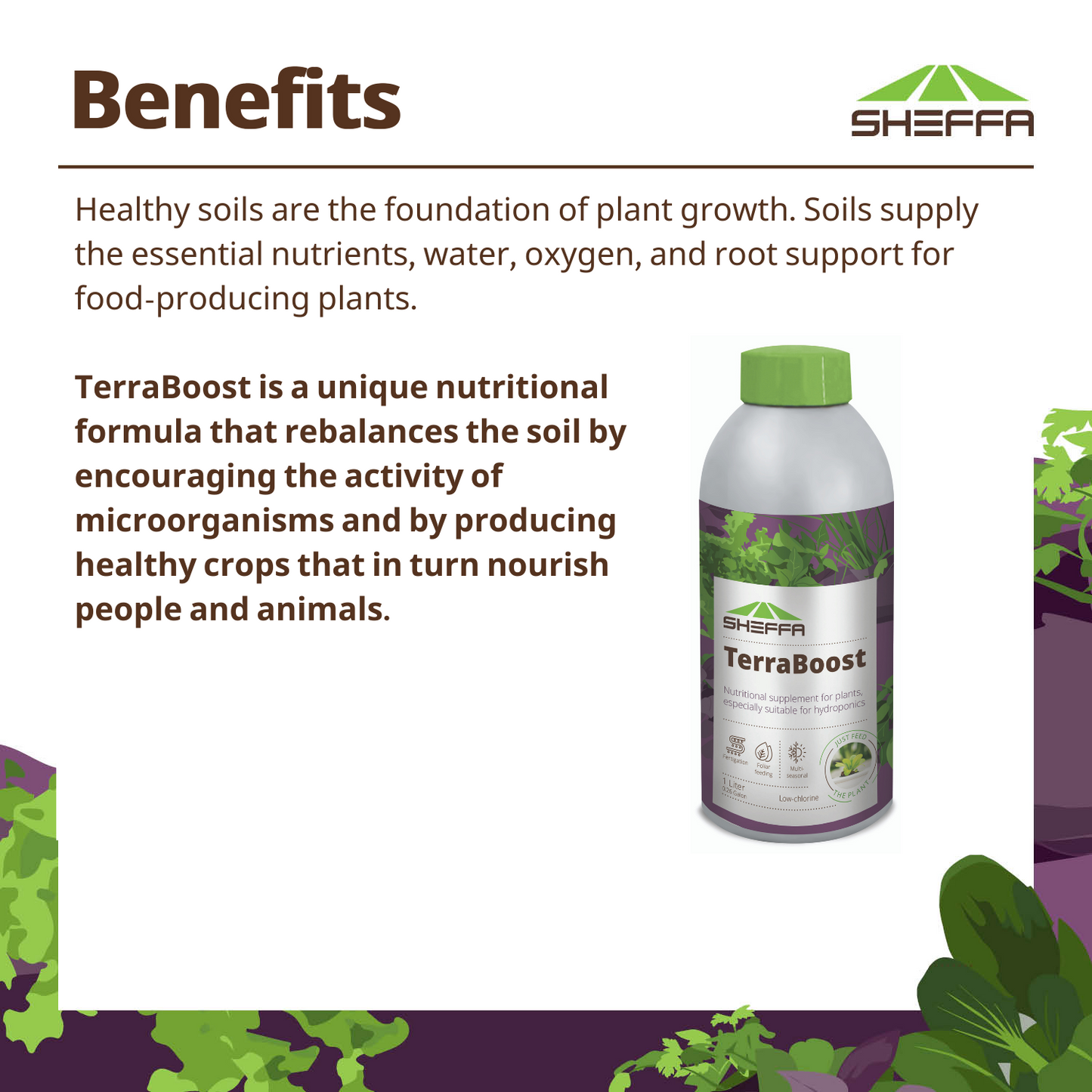 Liquid Fertilizer Soil Rebalancing For Vegetables Flowers and Lawn