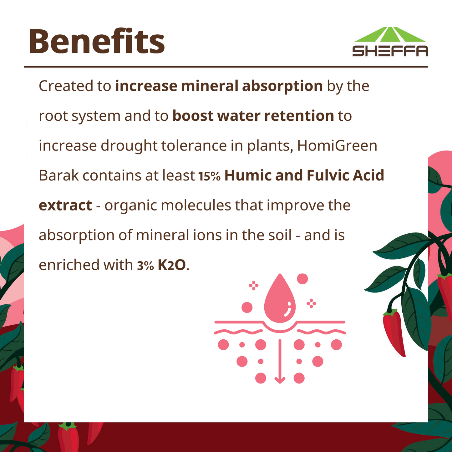 Nutritional Supplement for Accelerated Root Activity