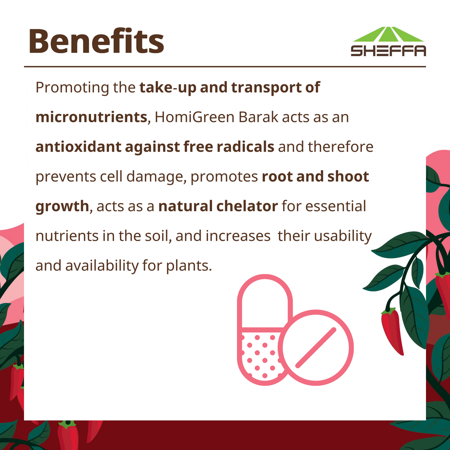 Nutritional Supplement for Accelerated Root Activity