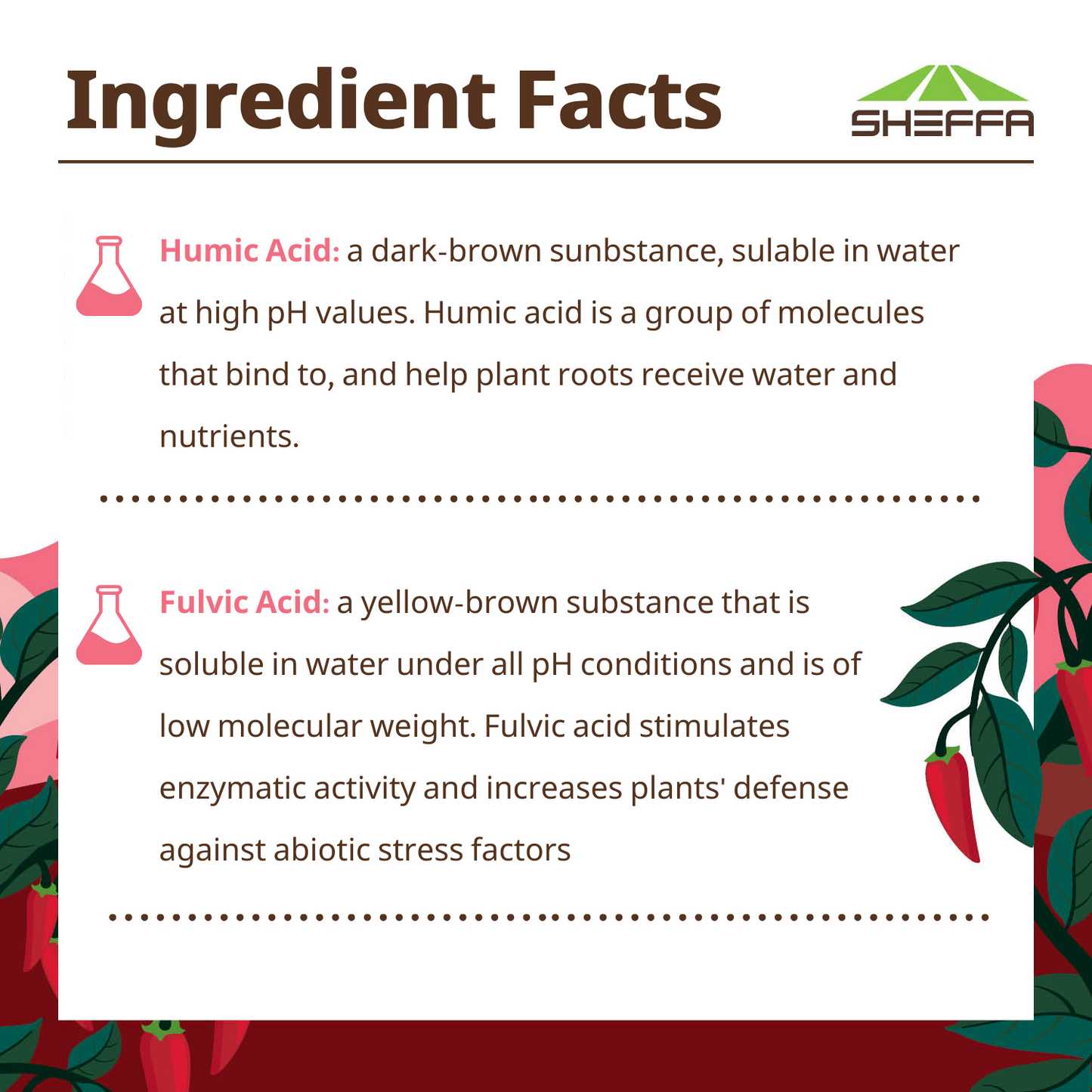 Nutritional Supplement for Accelerated Root Activity