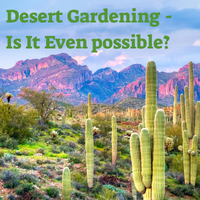 Desert Gardening - Is It even POSSIBLE?