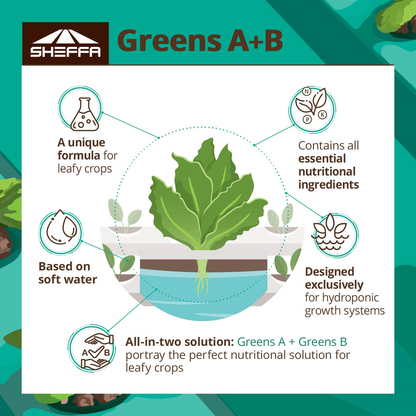 Growth Accelerating Fertilizer for Hydroponic Growth Systems