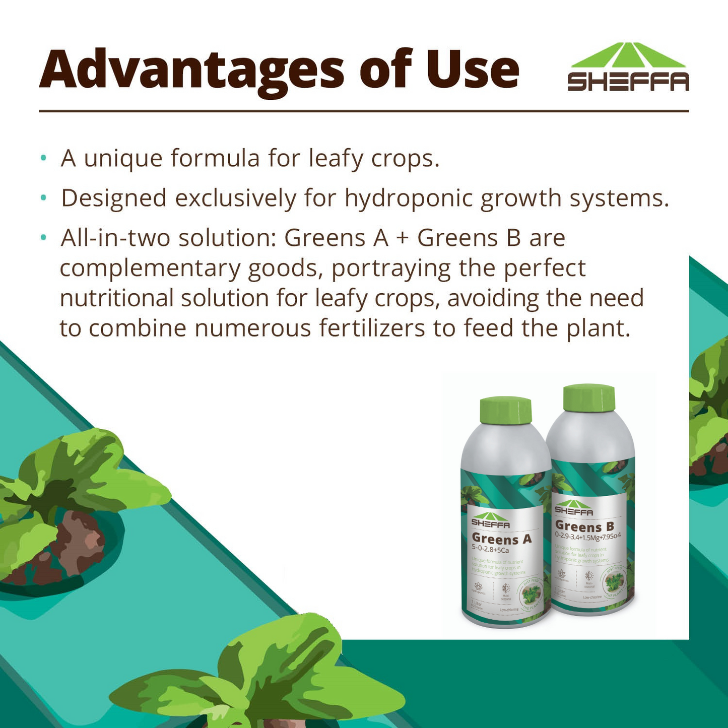 Growth Accelerating Fertilizer for Hydroponic Growth Systems