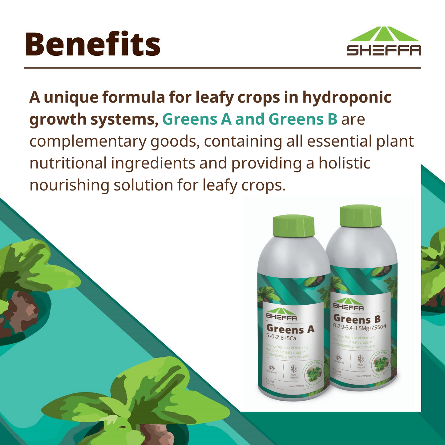 Growth Accelerating Fertilizer for Hydroponic Growth Systems